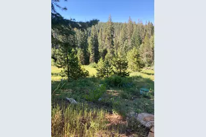 180 Bucks Meadow Drive, Bucks Lake, CA 95971 - Photo 17
