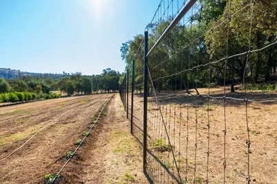 6800 Potts Trail, Browns Valley, CA 95918 - Photo 7