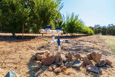 6800 Potts Trail, Browns Valley, CA 95918 - Photo 9