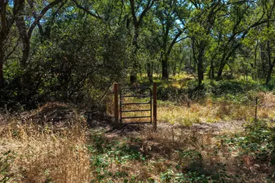 6201 Peace Springs Road, Loomis, CA 95650 - Photo 31