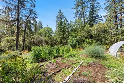 983 Coyote Hill Road, Colfax, CA 95713 - Photo 83