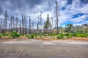4529 String Canyon Rd, Grizzly Flats, CA 95636 - Photo 1