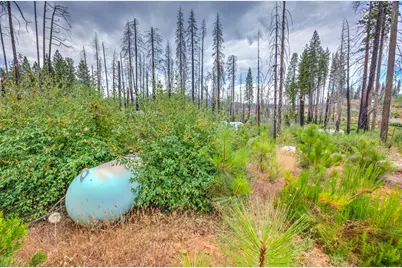 4529 String Canyon Road, Grizzly Flats, CA 95636 - Photo 5