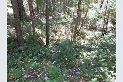 11004 Sutter Way, Nevada City, CA 95959 - Photo 5