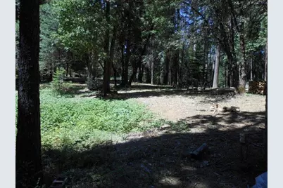 11004 Sutter Way, Nevada City, CA 95959 - Photo 7