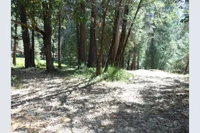 11004 Sutter Way, Nevada City, CA 95959 - Photo 11