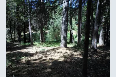 11004 Sutter Way, Nevada City, CA 95959 - Photo 25