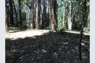 11004 Sutter Way, Nevada City, CA 95959 - Photo 9