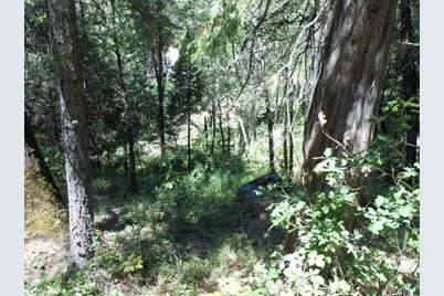 11004 Sutter Way, Nevada City, CA 95959 - Photo 23