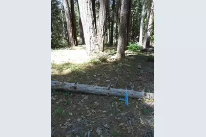 11004 Sutter Way, Nevada City, CA 95959 - Photo 3