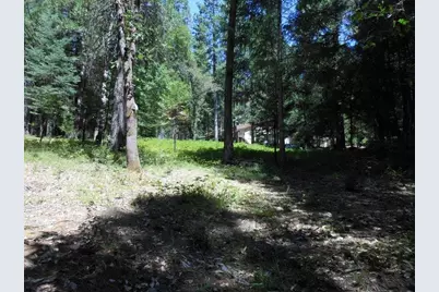 11004 Sutter Way, Nevada City, CA 95959 - Photo 19