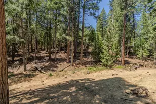 25824 Meadow Dr, Pioneer, CA 95666 - Photo 51