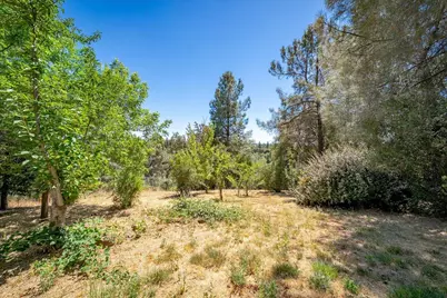 3005 Buckboard Road, Placerville, CA 95667 - Photo 59