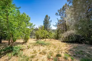 3005 Buckboard Rd, Placerville, CA 95667 - Photo 59