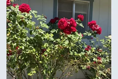 4021 Bright Court, Placerville, CA 95667 - Photo 27