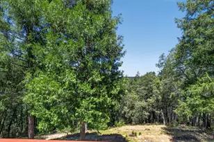 655 Secret Town Ln, Colfax, CA 95713 - Photo 67