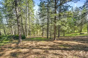 2065 Hotchkiss Ct, Cool, CA 95614 - Photo 85