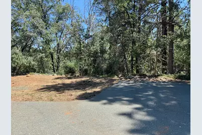24665 Highway 88, Pioneer, CA 95666 - Photo 41
