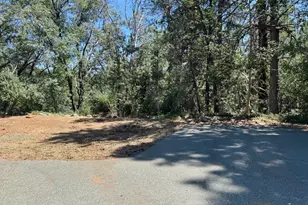 24665 Hwy 88, Pioneer, CA 95666 - Photo 41