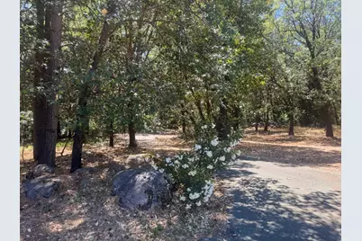 24665 Highway 88, Pioneer, CA 95666 - Photo 39
