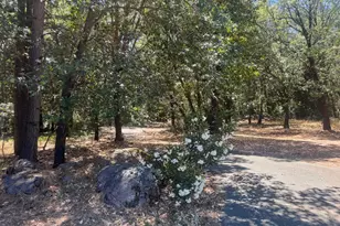 24665 Hwy 88, Pioneer, CA 95666 - Photo 39