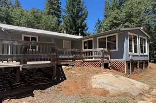 24665 Hwy 88, Pioneer, CA 95666 - Photo 3