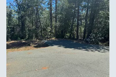 24665 Highway 88, Pioneer, CA 95666 - Photo 35