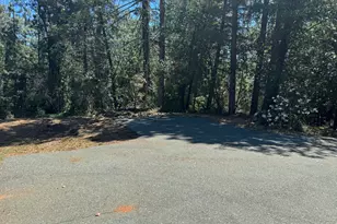 24665 Hwy 88, Pioneer, CA 95666 - Photo 35