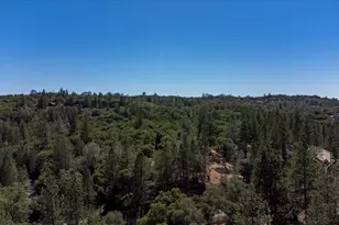 19205 Bald Eagle Loop, Penn Valley, CA 95946 - Photo 63