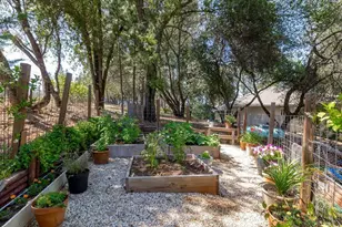 19205 Bald Eagle Loop, Penn Valley, CA 95946 - Photo 55