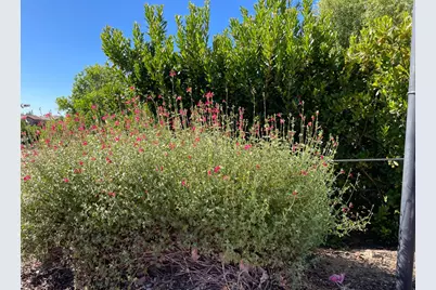 8162 Ryland Drive, El Dorado Hills, CA 95762 - Photo 11