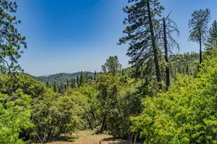 13291 Ponderosa Way, Jackson, CA 95642 - Photo 45