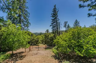 13291 Ponderosa Way, Jackson, CA 95642 - Photo 65