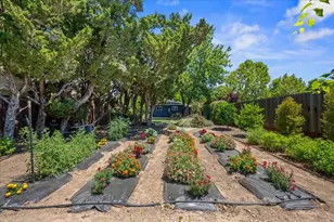 4416 71st St, Sacramento, CA 95820 - Photo 23