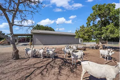 237 Leek Road, Modesto, CA 95357 - Photo 53