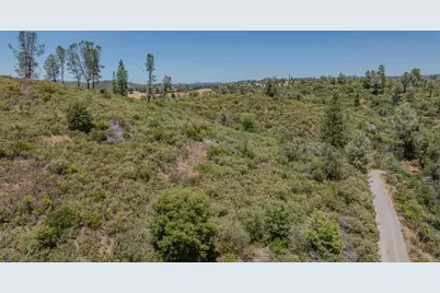 7559 Alamo Road, Mountain Ranch, CA 95246 - Photo 21