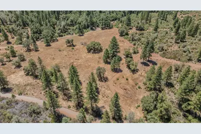 7559 Alamo Road, Mountain Ranch, CA 95246 - Photo 11