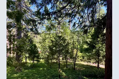 1647 Gertrude Way, Arnold, CA 95223 - Photo 9