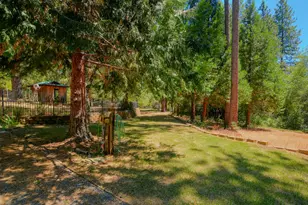 1600 Ridge Rd, Mokelumne Hill, CA 95245 - Photo 67