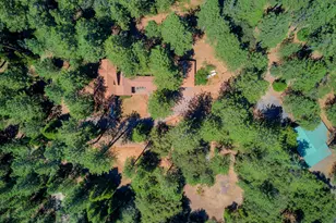 1600 Ridge Rd, Mokelumne Hill, CA 95245 - Photo 73
