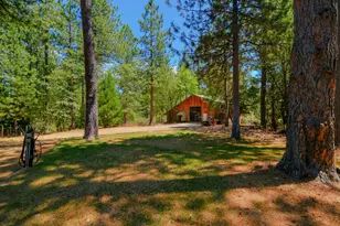 1600 Ridge Rd, Mokelumne Hill, CA 95245 - Photo 65