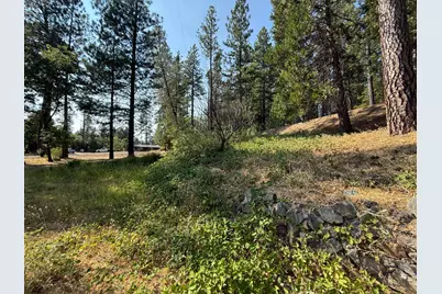 16970 Old Downieville Highway, Nevada City, CA 95959 - Photo 7