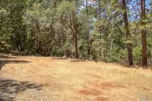 20310 Hwy 26, West Point, CA 95255 - Photo 43
