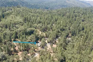 20310 Hwy 26, West Point, CA 95255 - Photo 59