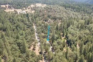 20310 Hwy 26, West Point, CA 95255 - Photo 61