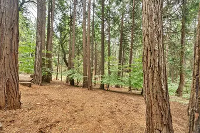 7084 Pine Cone Drive, Pollock Pines, CA 95726 - Photo 25
