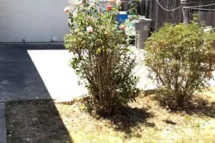 5541 Sampson Blvd, Sacramento, CA 95820 - Photo 3