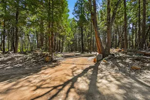 11955 Chalk Bluff Rd, Nevada City, CA 95959 - Photo 41