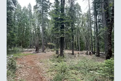 11955 Chalk Bluff Road, Nevada City, CA 95959 - Photo 17