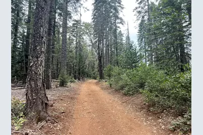 11955 Chalk Bluff Road, Nevada City, CA 95959 - Photo 21